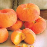 نهال هلو انجیری آناناسی