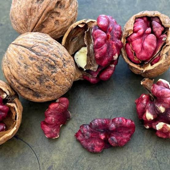 نهال گردو توسرخ پیوندی