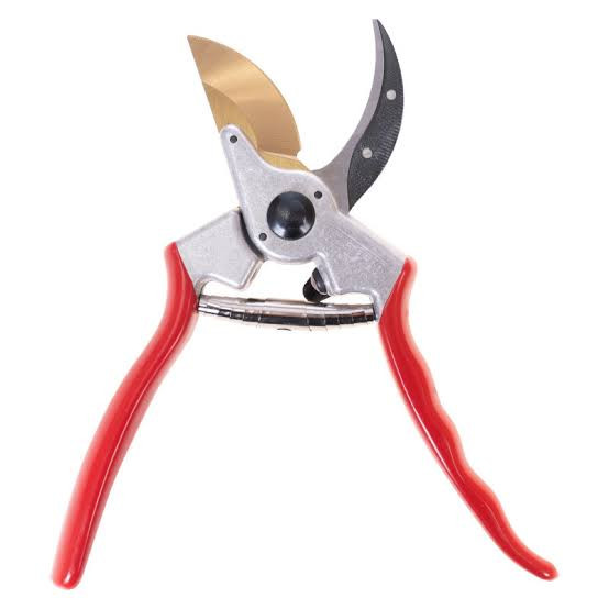 قیچی باغبانی محکم