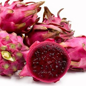 نهال دراگون فروت