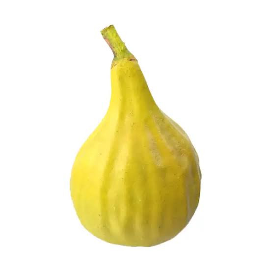 نهال شاه انجیر زرد بزرگ سه فصل