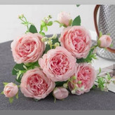 خرید نهال گل رز ژولیت