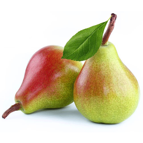 نهال گلابی دیر گل