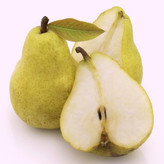 نهال گلابی خاص و شیرین