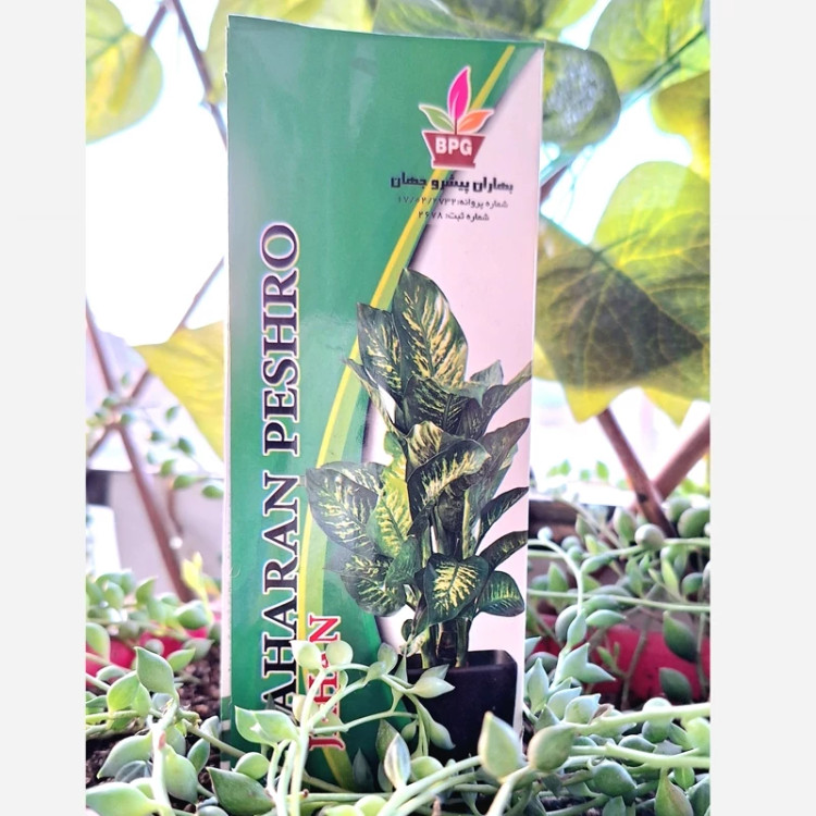 خرید کود تقویتی برای ریشه زایی