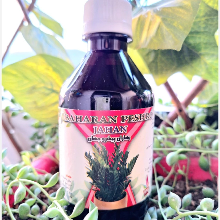 کود مناسب برای گل و گیاهان آپارتمانی