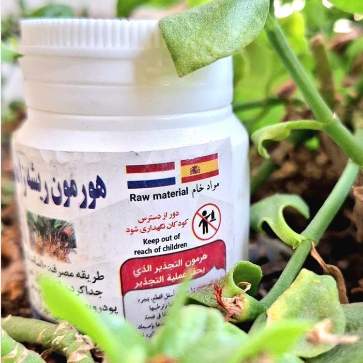 خرید کود مناسب برای ریشه زایی