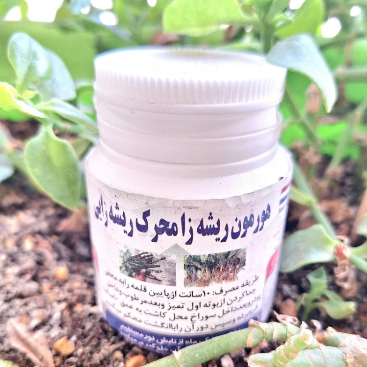 خرید هورمون ریشه زایی .برای قلمه زدن انواع گیاهان