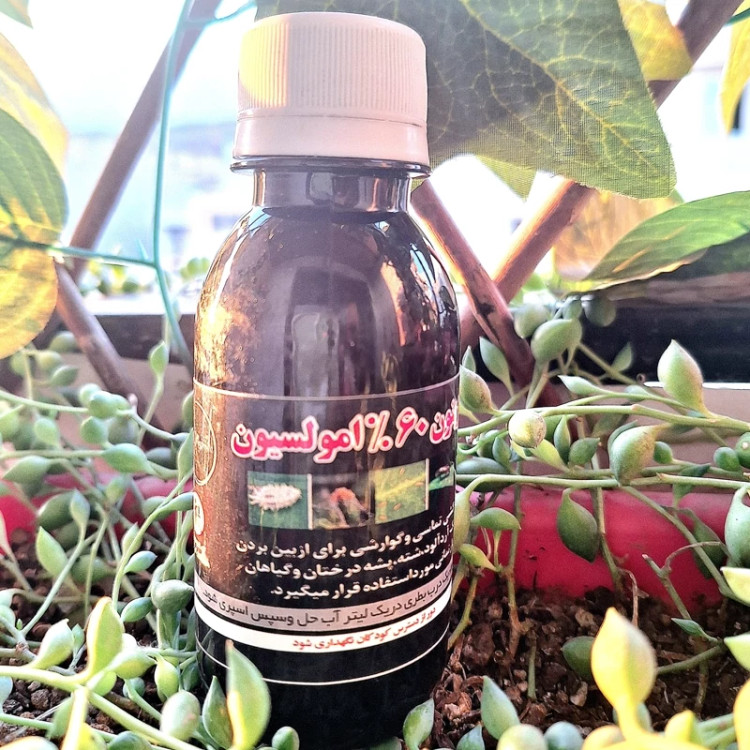 خرید سم دیازینون