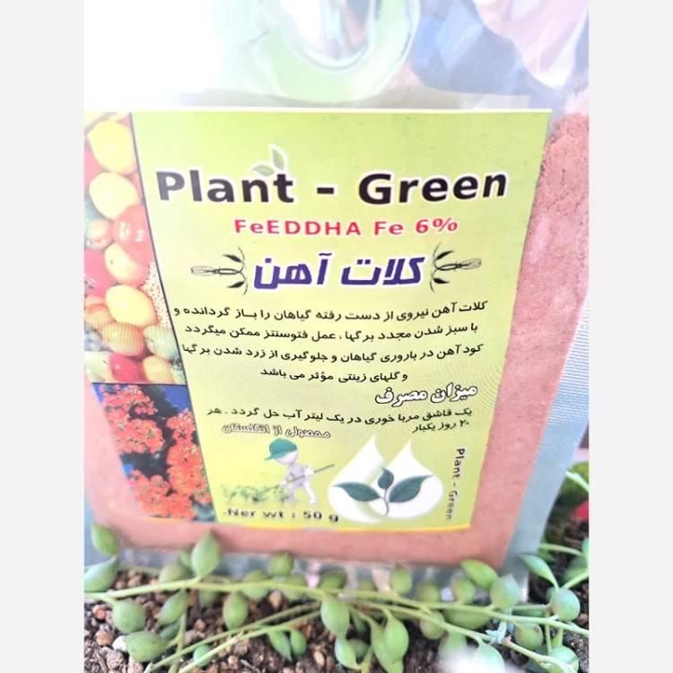 خرید کود اهن برای گیاهان و گل ها