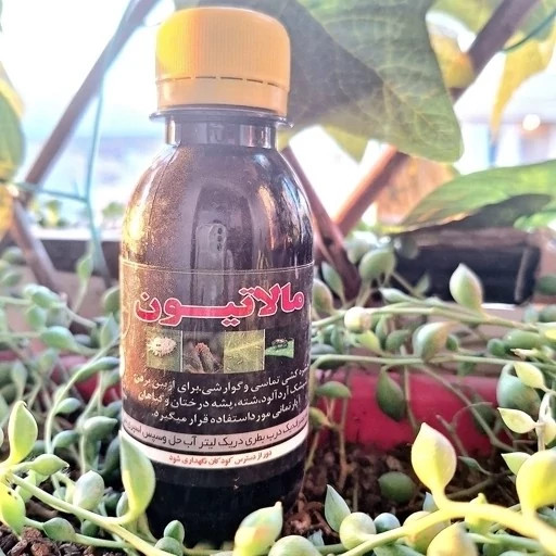 خرید سم مالاتیون 100 سی سی. خالص درجه یک