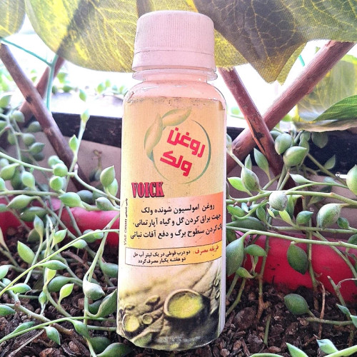 خرید روغن ولک . پاکسازی و براق کردن برگها