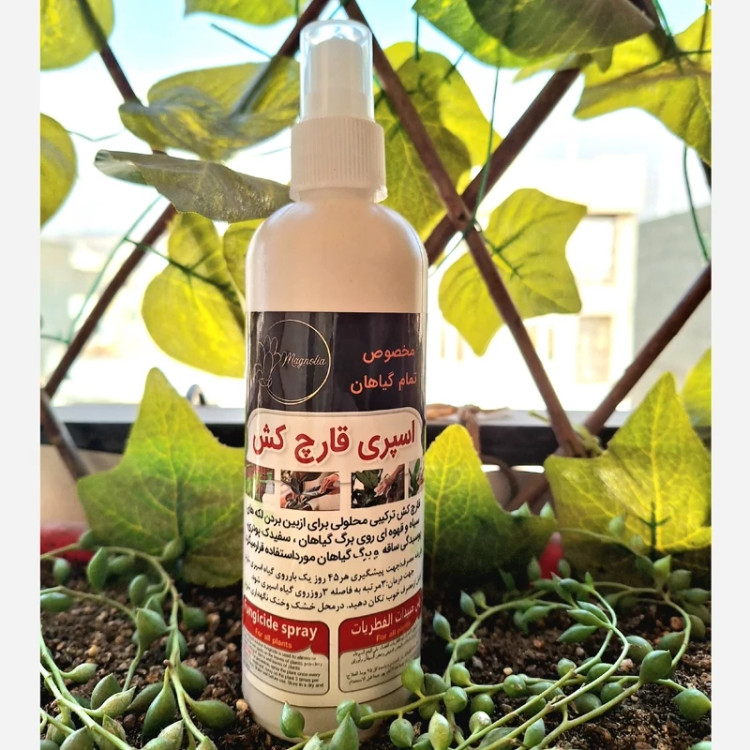 خرید اسپری قارچکش قارچ کش و آفت کش ترکیبی