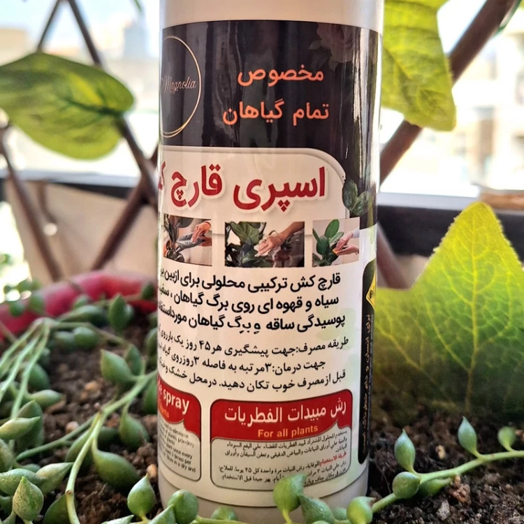 اسپری قارچکش قارچ مناسب برای گیاهان و گل