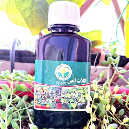 خرید کود آهن کلات آهن . 100 سی سی