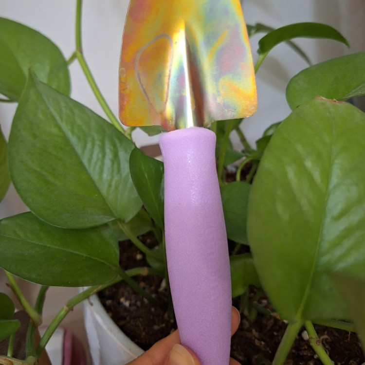 خرید بیل کوچک مناسب برای باغچه