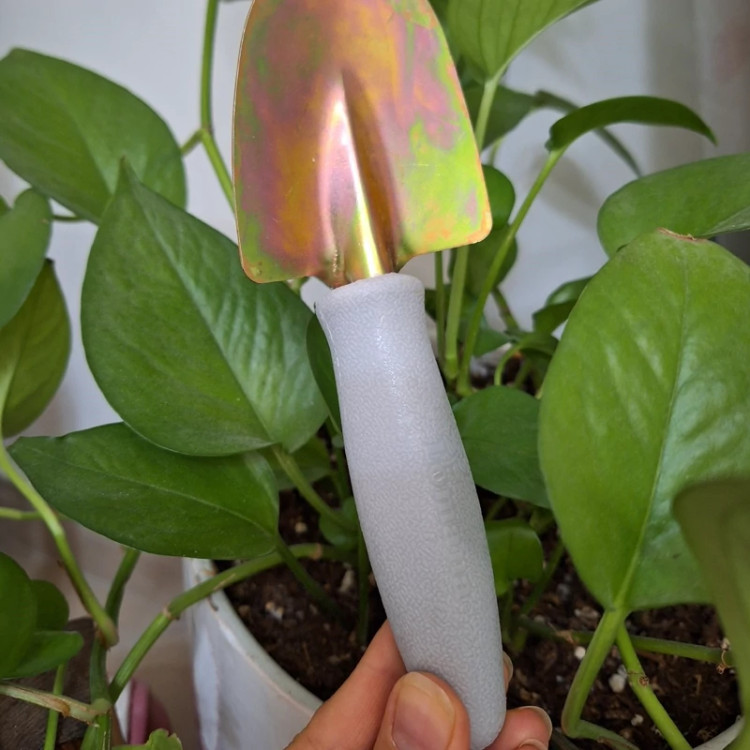 بیلچه کوچک گلدان با جنس عالی