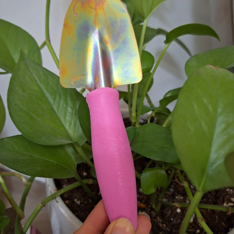 بیلچه برای داخل گلدان