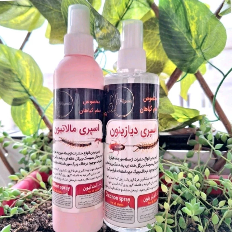 خرید اسپری آماده سم دیازینون یا مالاتیون (یک عددی)