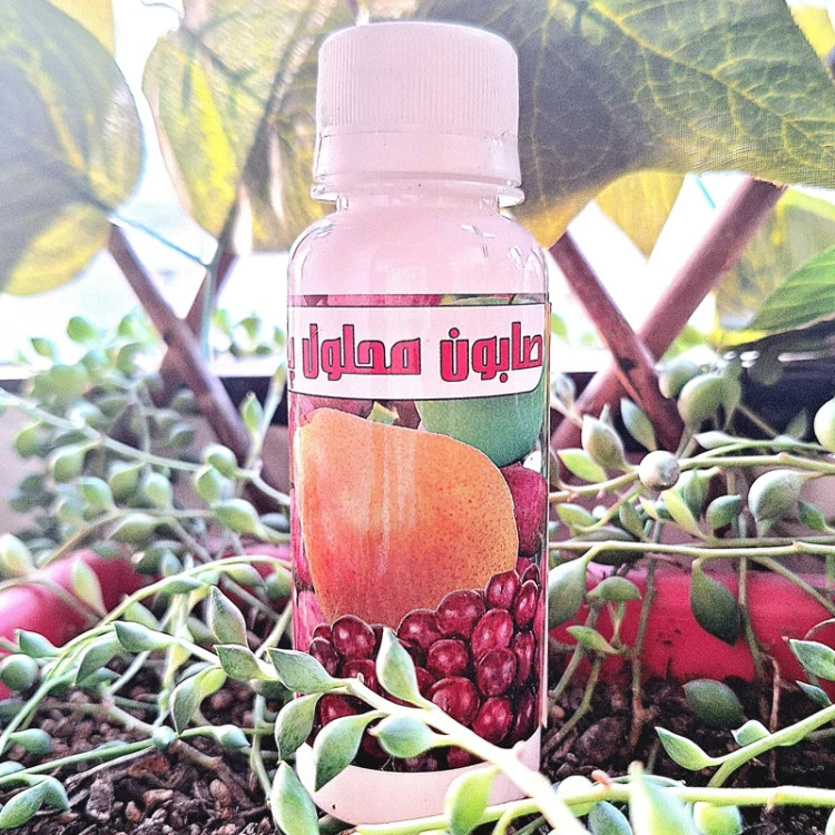 خرید محلول شست و شو و ضدعفونی گیاهان. 100سی سی