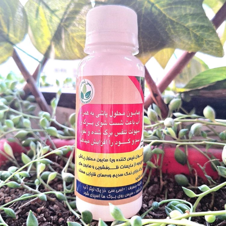 کود تقویت برای گل و گیاهان برای تمیزی