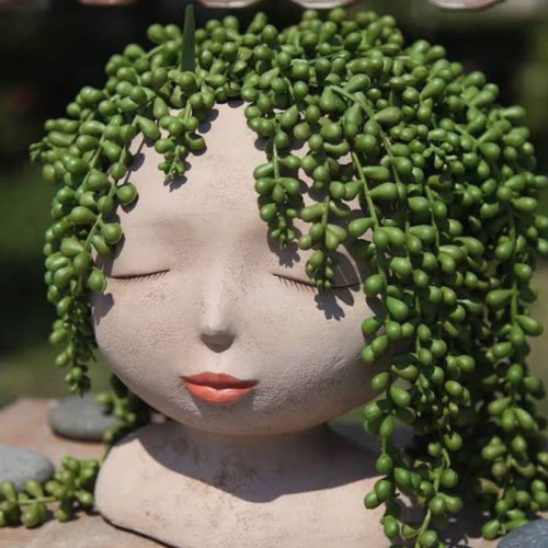 خرید گل زینتی