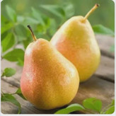 نهال گلابی اسپادانا دیررس و زود رس