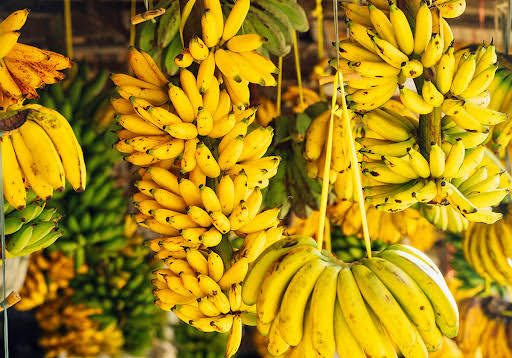نهال موز